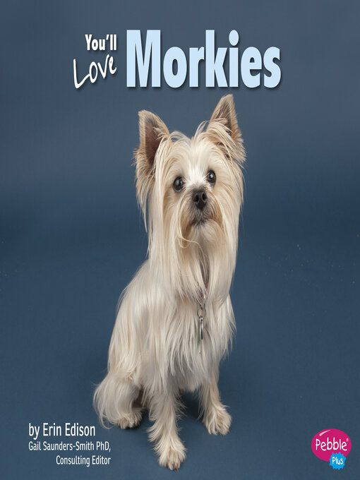 Title details for You'll Love Morkies by Gail Saunders-Smith - Available
